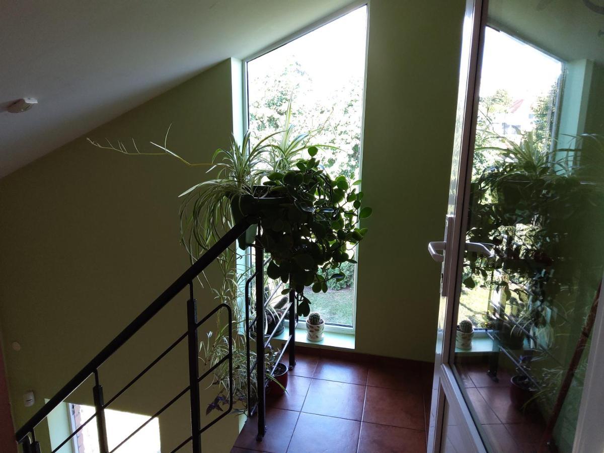 Apartamentai Geguciu Gatveje Клайпеда Екстериор снимка
